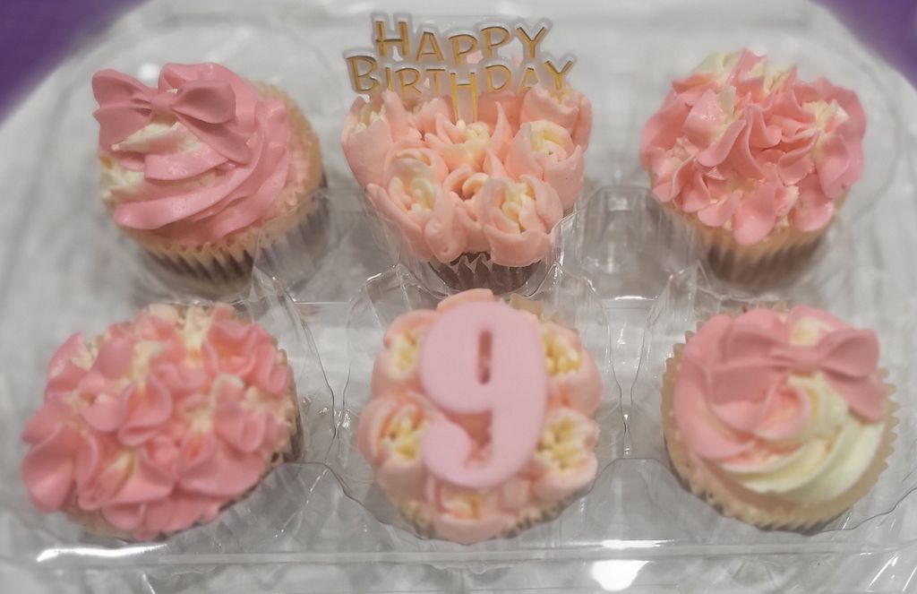 Princess Pink Butterfly Cake