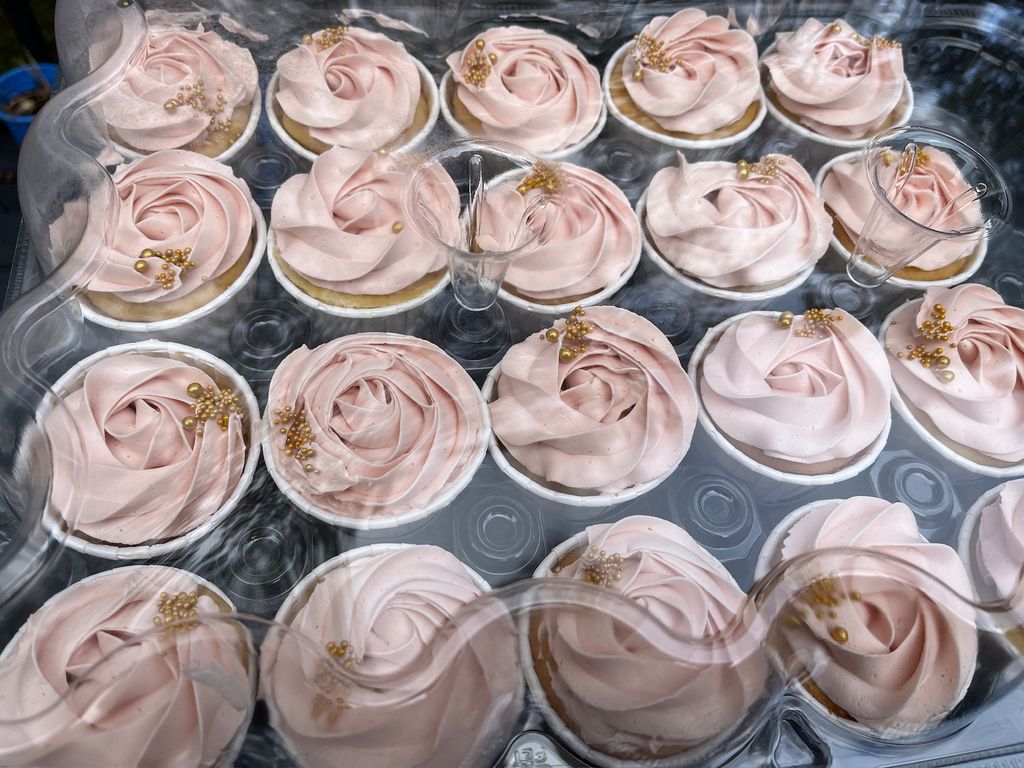 Pale Pink Twirl Cupcakes