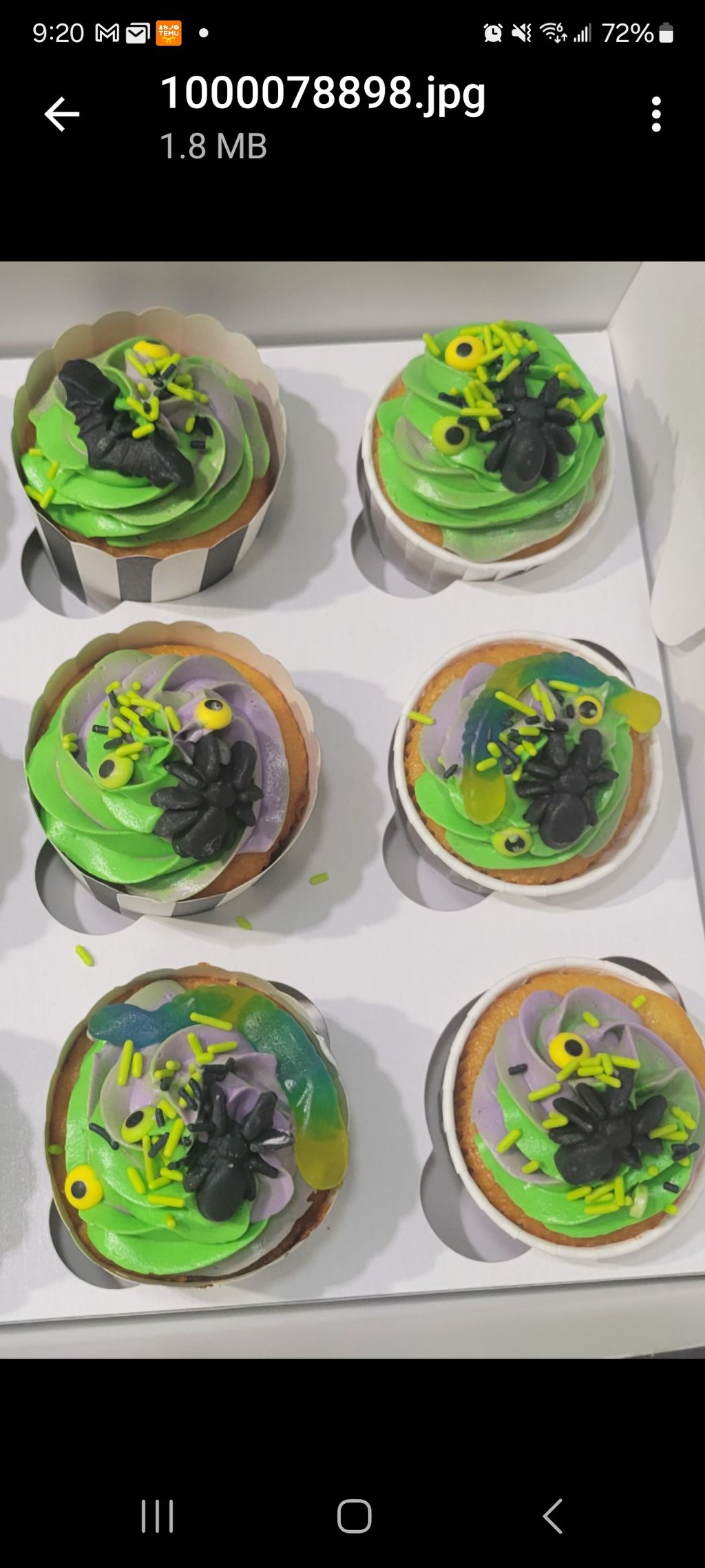 Halloween Spider Cupcakes